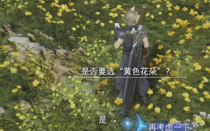 最终幻想7重生山丘上绽放的花任务怎么做 山丘上绽放的花任务攻略图片4