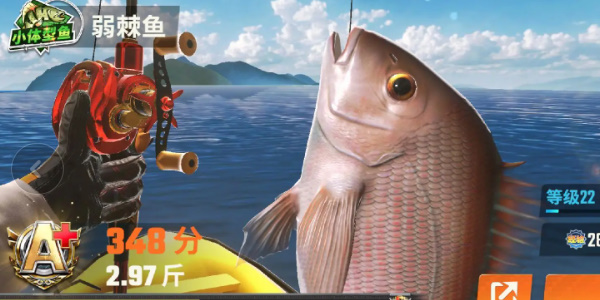 欢乐钓鱼大师鱼类图鉴大全 所有稀有鱼图鉴最新图片8