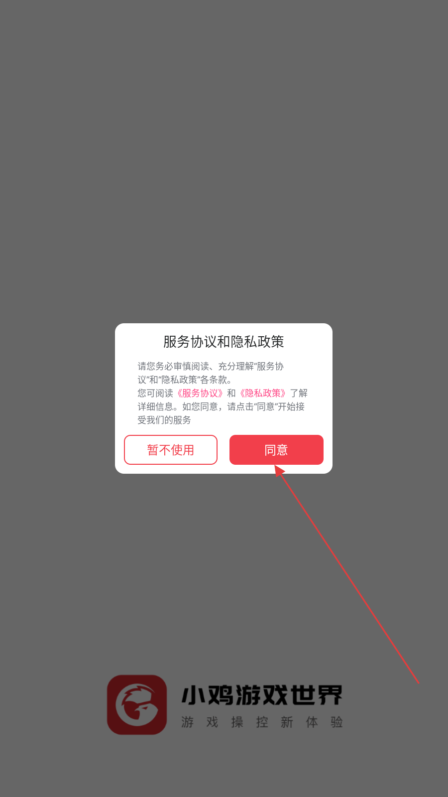 小鸡游戏世界
