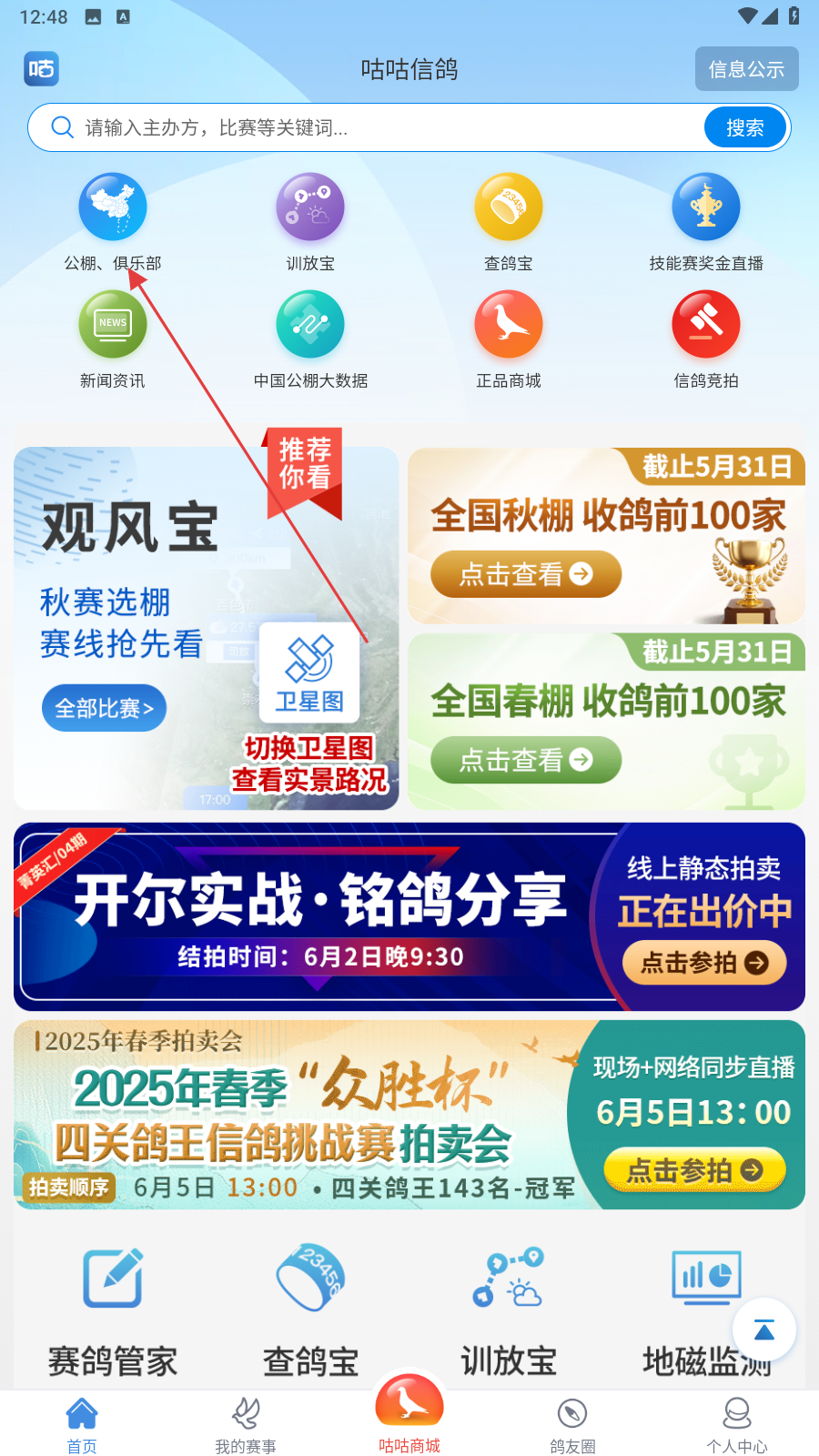 咕咕信鸽