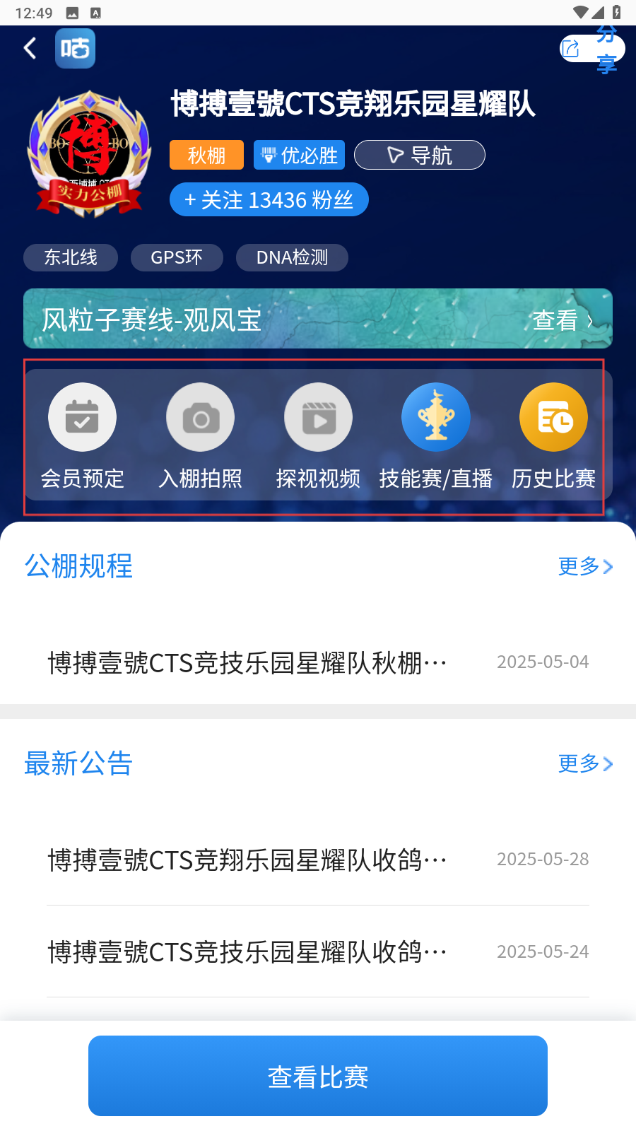 咕咕信鸽