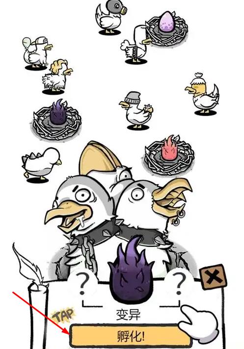 我是养鸡王