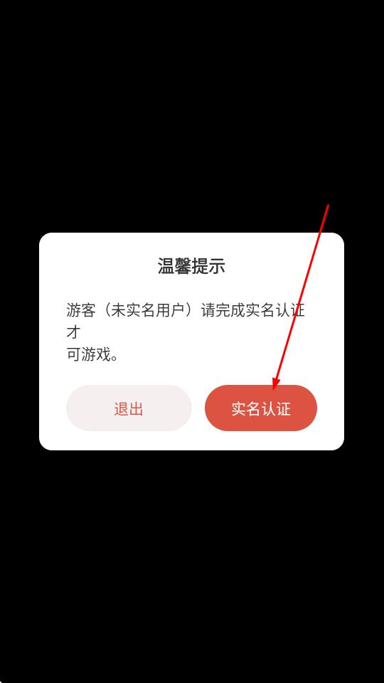 口袋冠军