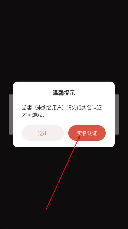 闲置枪店大亨