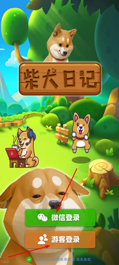 柴犬日记