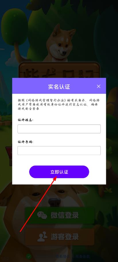 柴犬日记