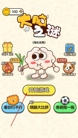 大脑之谜