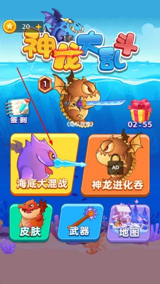 神龙大乱斗