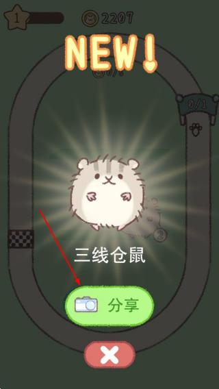 仓鼠跑跑跑