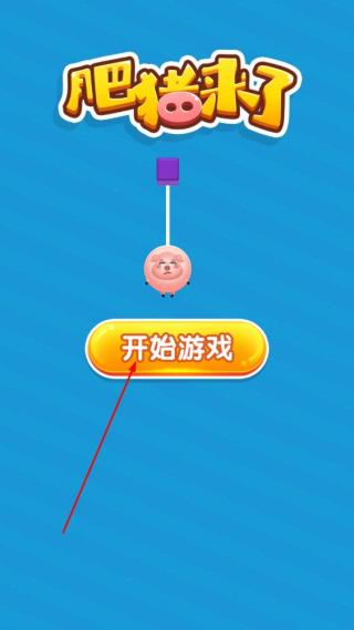 肥猪来了