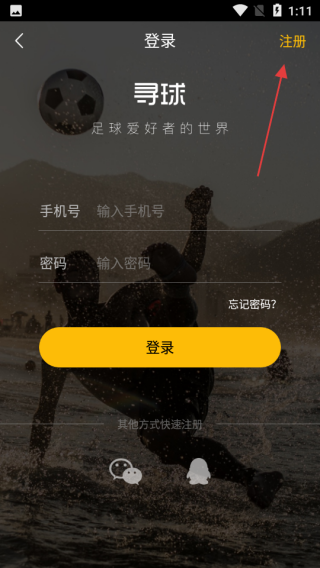 寻球