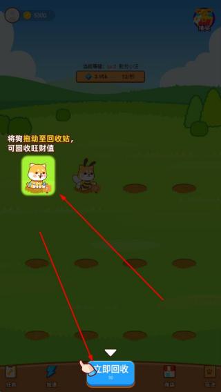 养狗大富翁