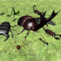 臭虫战斗模拟器3D