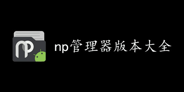 np管理器