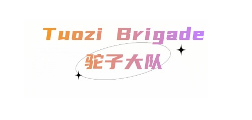 Tuozi Brigade