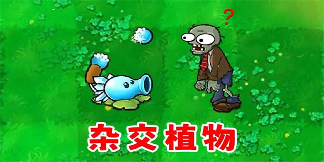 植物大战僵尸杂交版