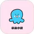 章鱼小说