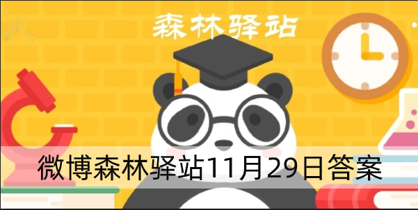 森林驿站11.29答案 微博森林驿站11月29日答案