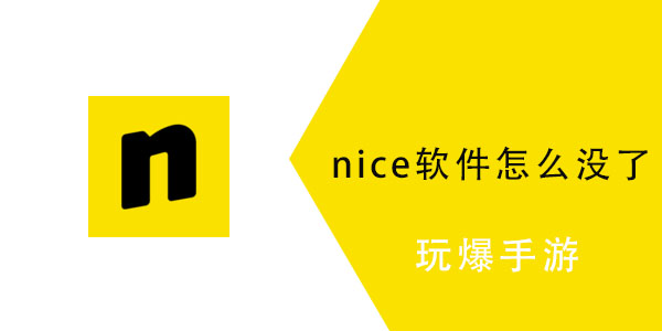 nice交友app为什么现在下不了了