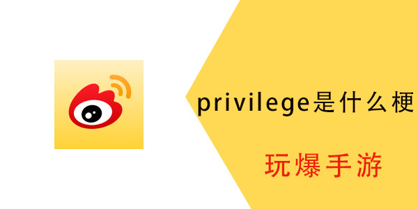 privilege是什么梗