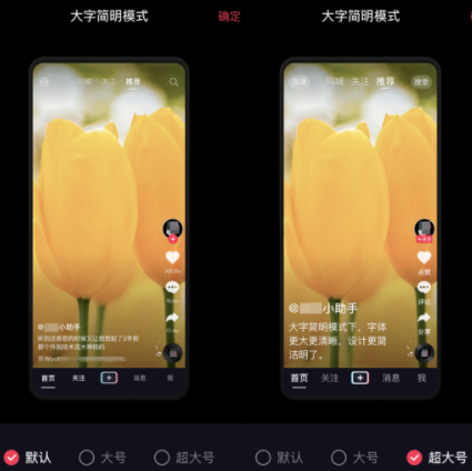 抖音上线搜一搜功能 内测老年大字版