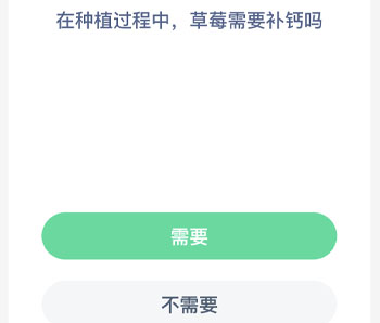 在种植过程中草莓需要补钙吗 蚂蚁新村每日一题
