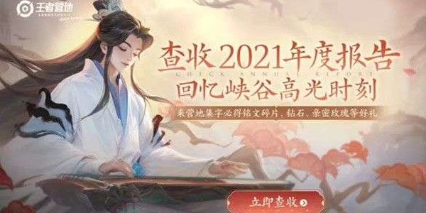 王者荣耀2021年度报告怎么看