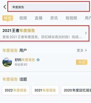 王者荣耀2021年度报告怎么看