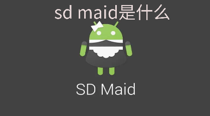 sd maid是什么