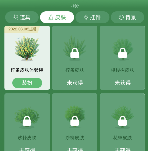 支付宝蚂蚁森林柠条皮肤怎么装扮