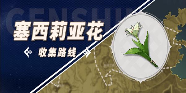 原神塞西莉亚花采集位置