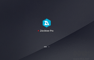 zarchiver pro蓝色版