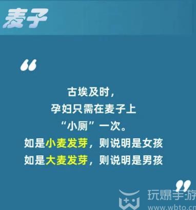 淘宝大赢家11.17答案