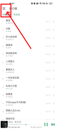 洛雪音乐助手app