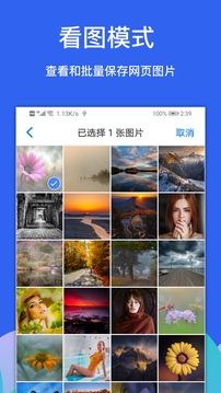 alook浏览器9.0