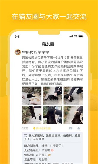 哈啰街猫app下载