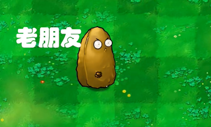 植物大战僵尸(pvz)世界乱炖