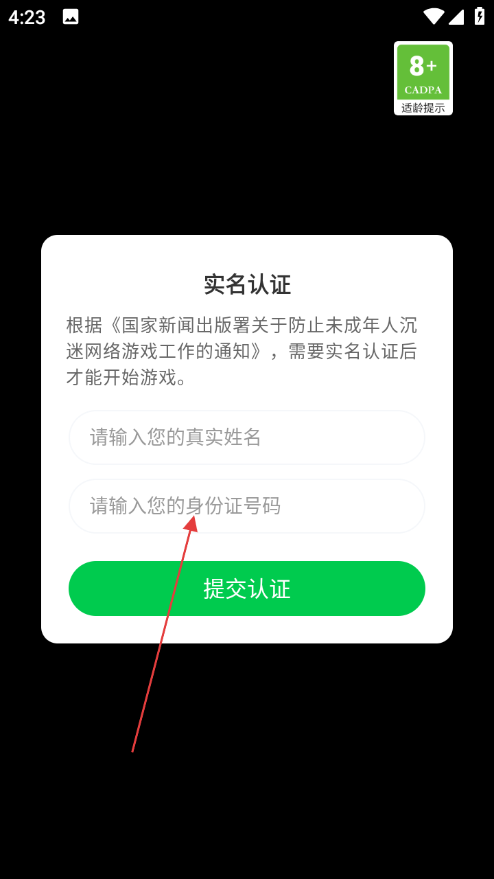 小门廊海盗盗窃之城