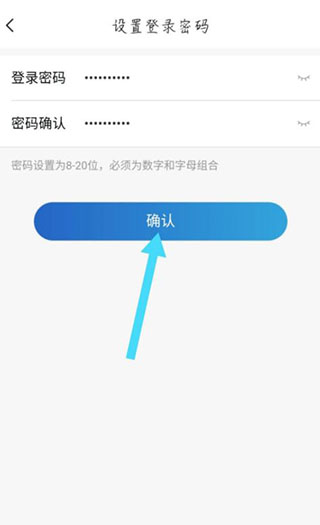 中国大地保险