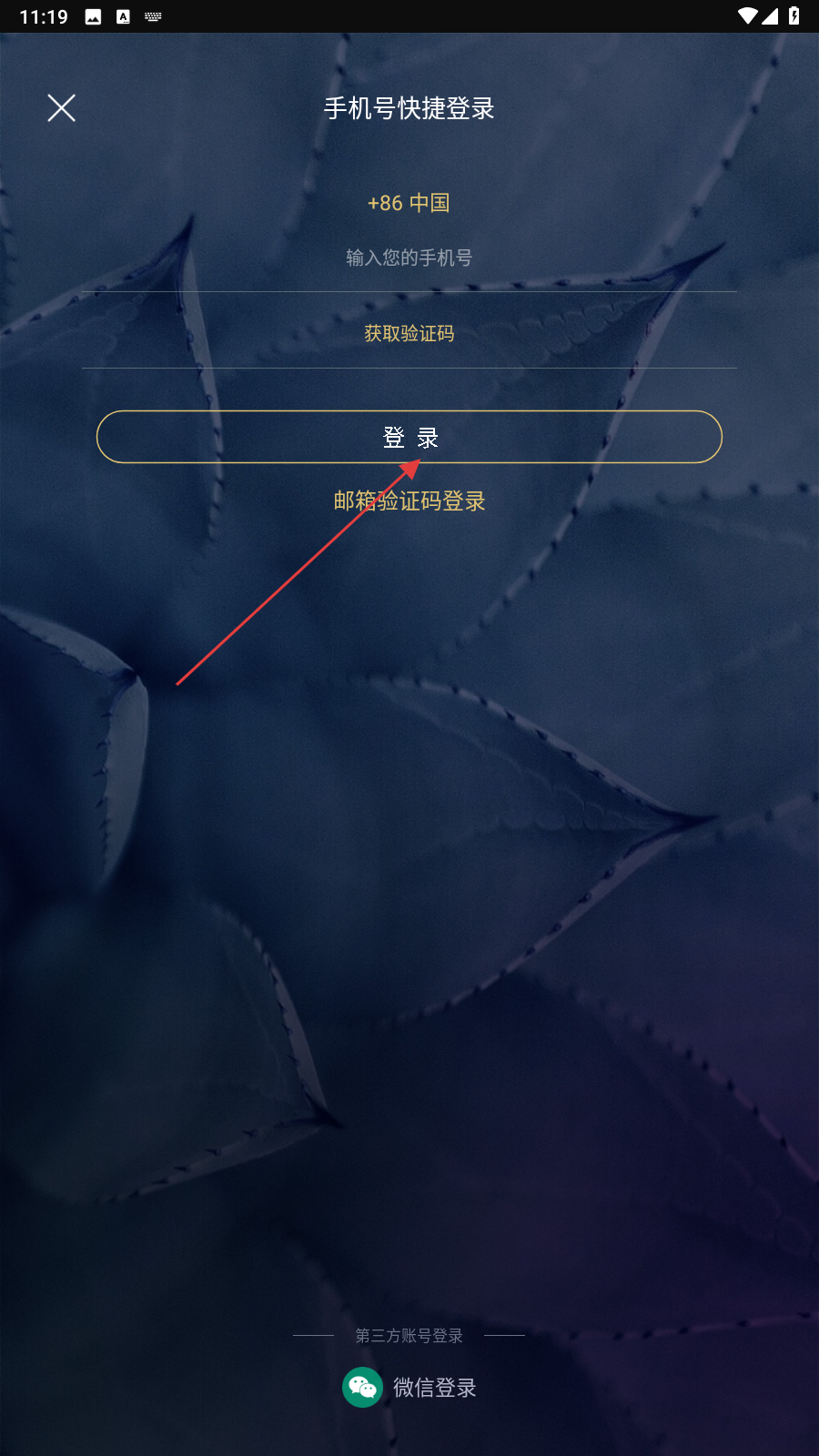 大师有空