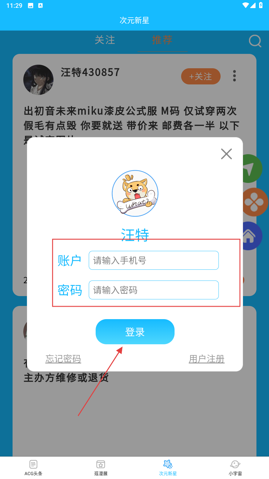 汪特