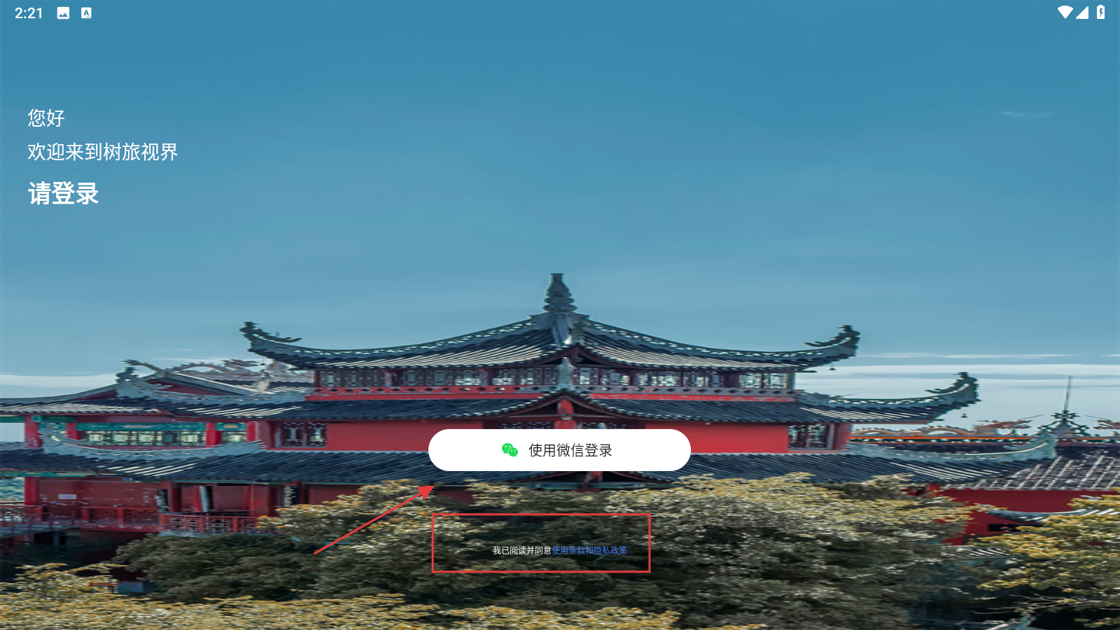 树旅