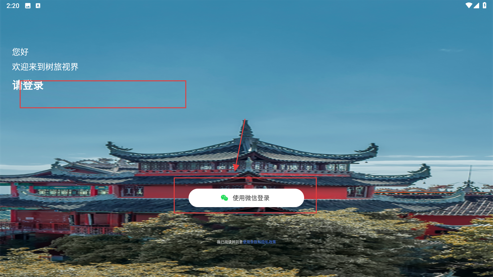 树旅