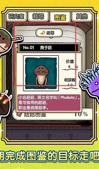 蘑菇花园