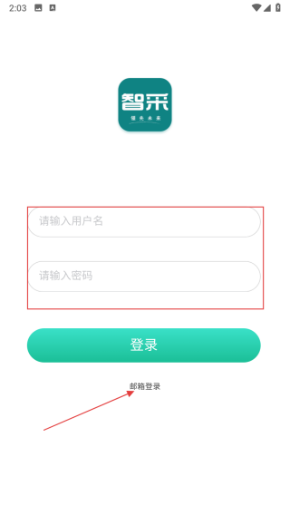 领先智采