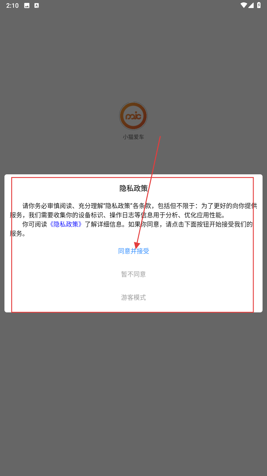 小猫爱车