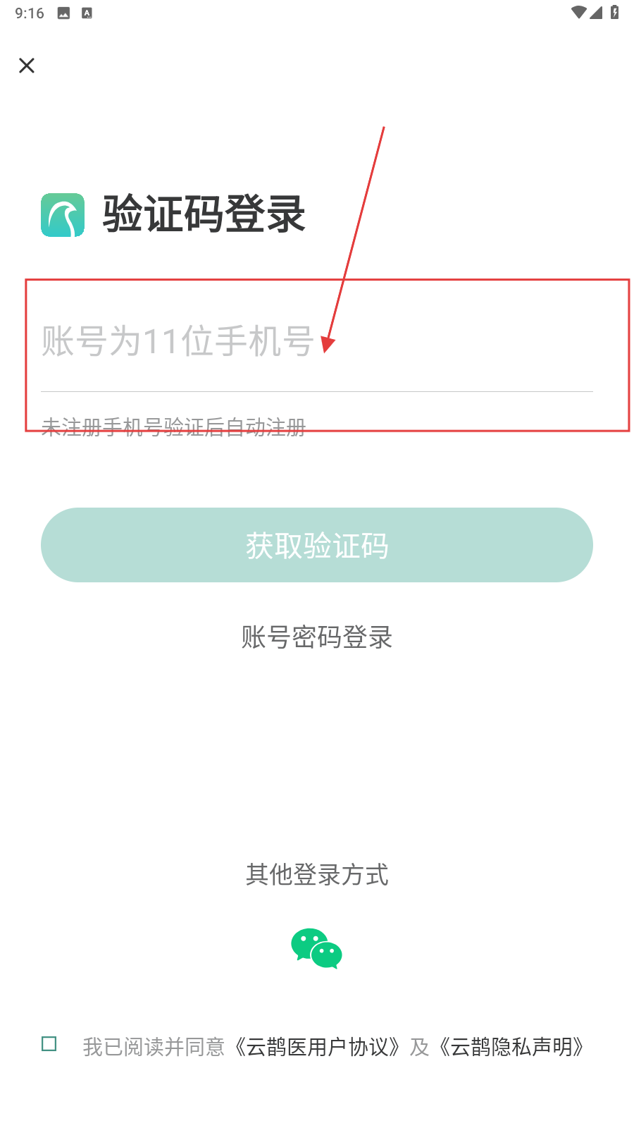 云鹊医