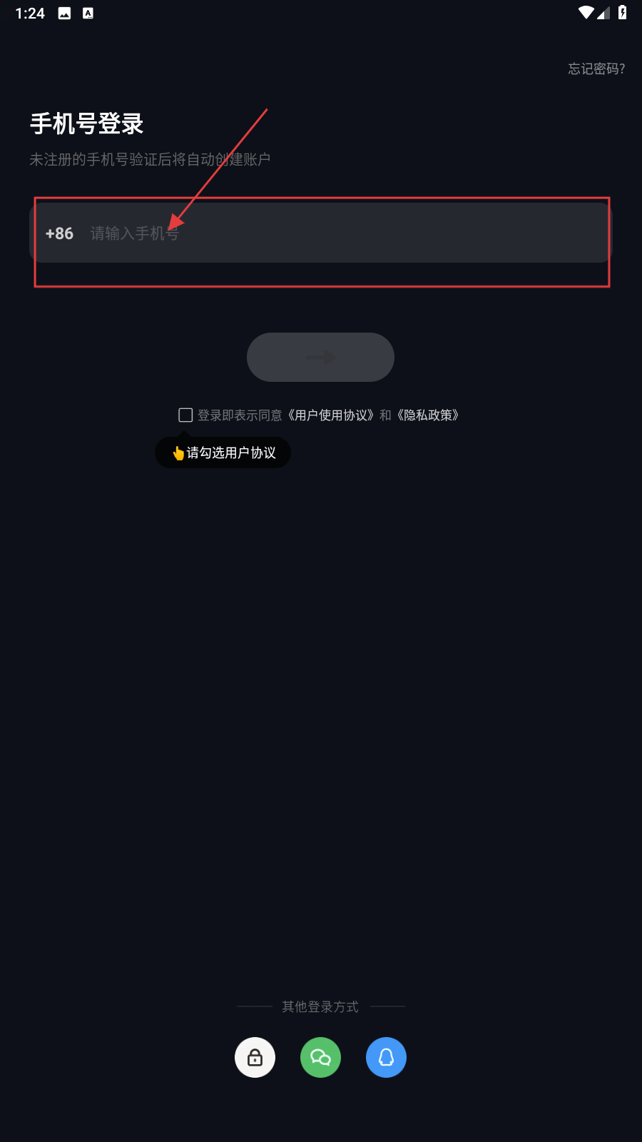 心跳海龟汤