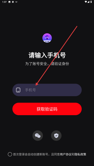 红人蜂
