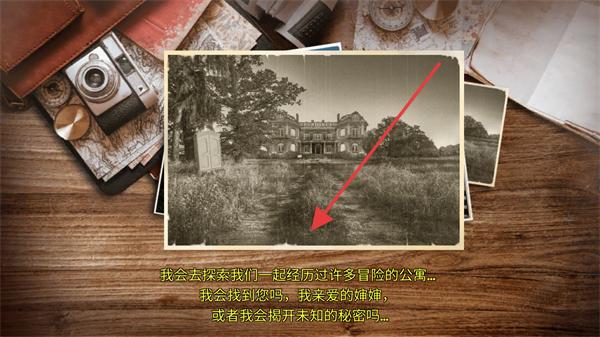 梧桐山上的秘密